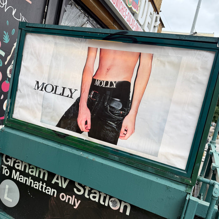 Molly VS. MTA