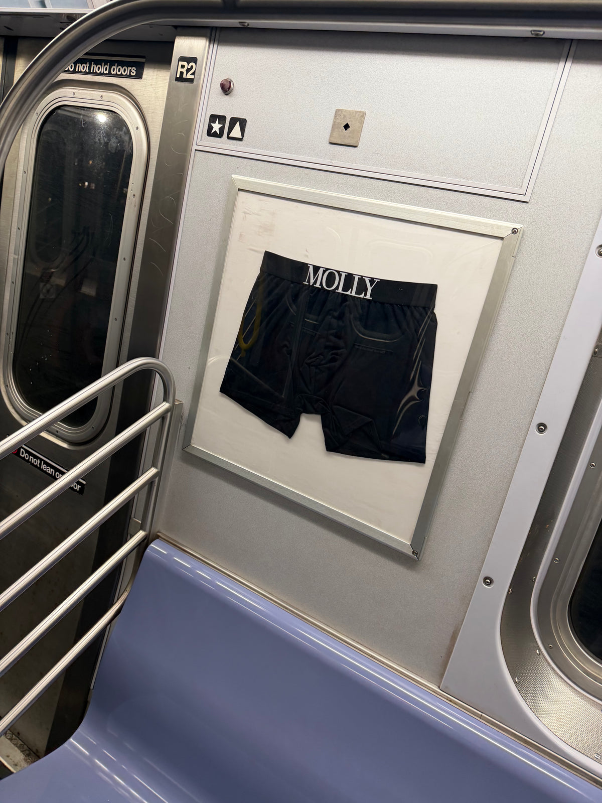 Molly boxers/M Train